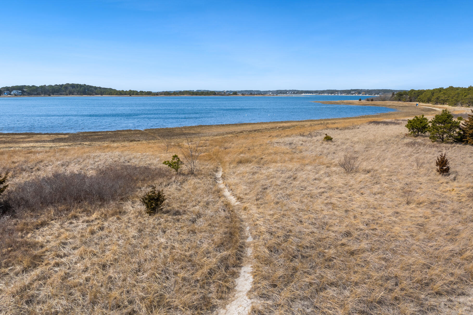 345 Cove Road Wellfleet MA 02667