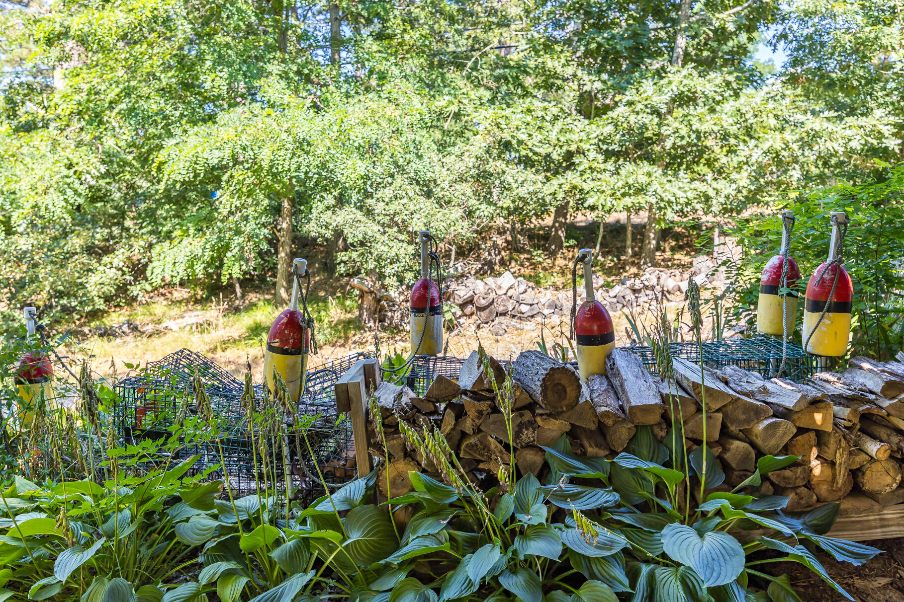 345 Cove Road Wellfleet MA 02667