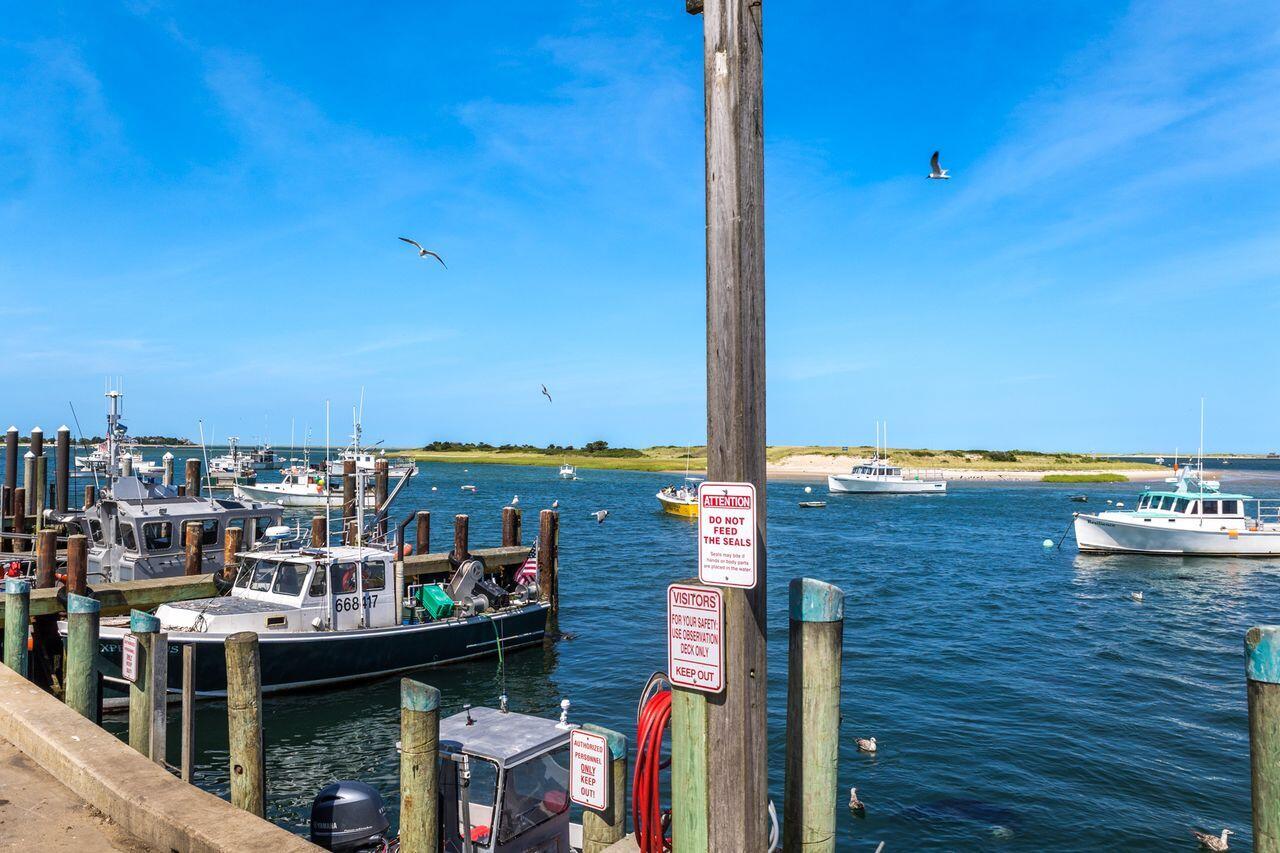 48 Glover Square Chatham MA 02633