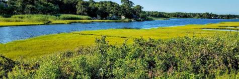 41 Bassett Lane Dennis MA 02639