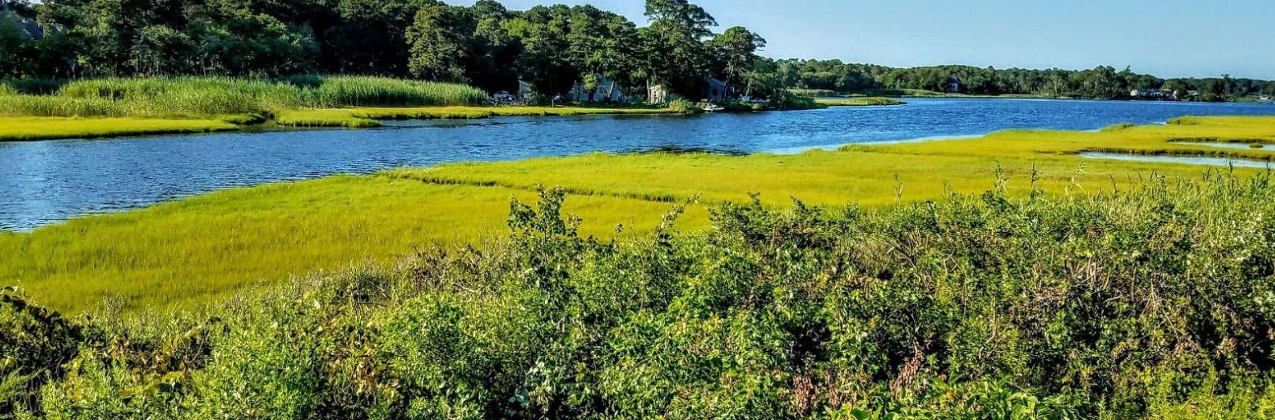 41 Bassett Lane Dennis MA 02639