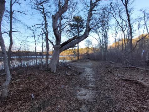 14 S Yarmouth Road Dennis MA 02638