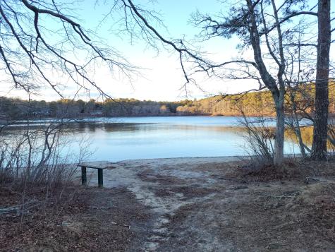 14 S Yarmouth Road Dennis MA 02638