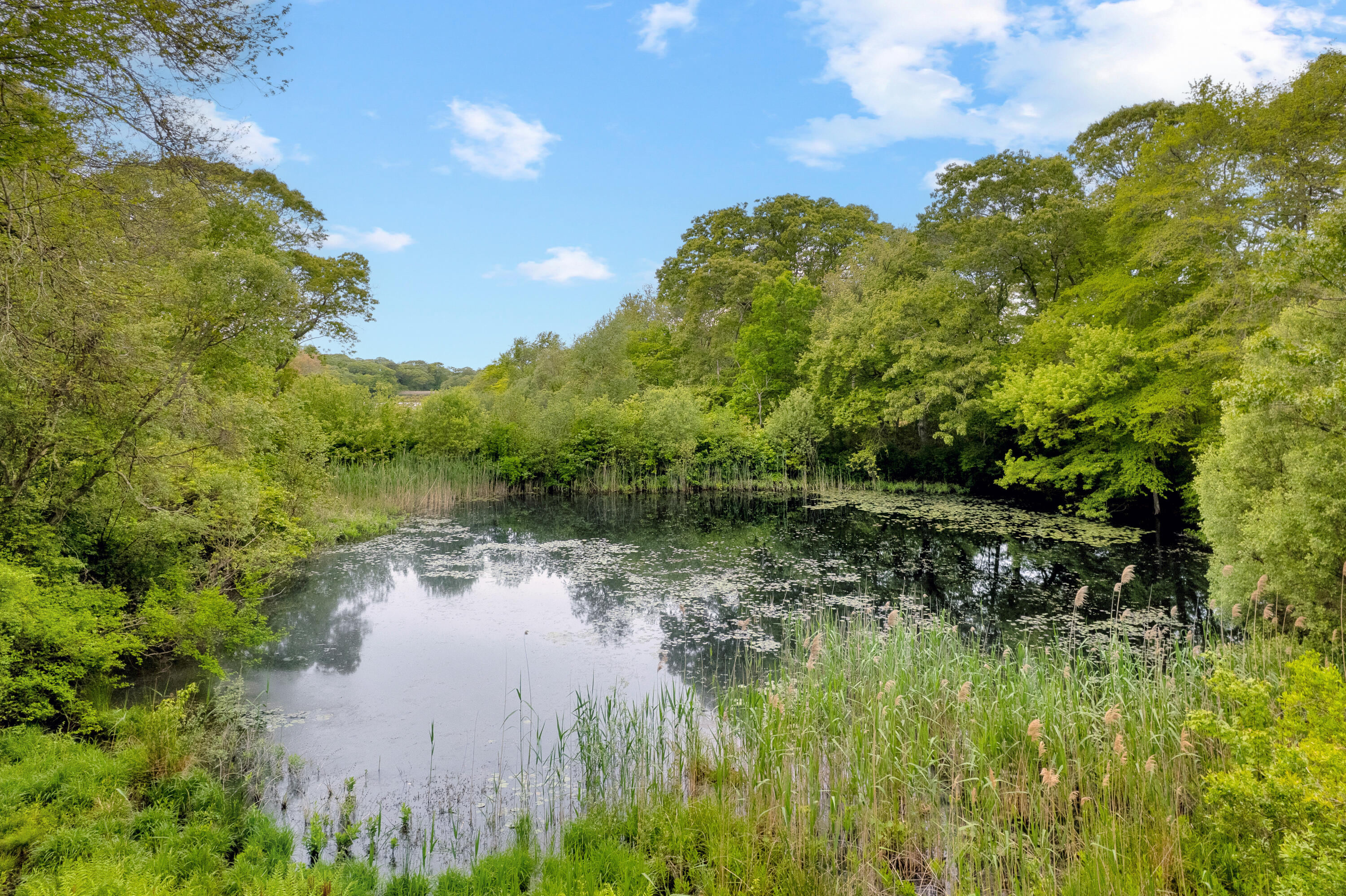 20 James Pond Way West Tisbury MA 02575