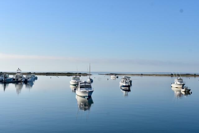 Lot 2 Pine Grove Avenue Falmouth MA 02536