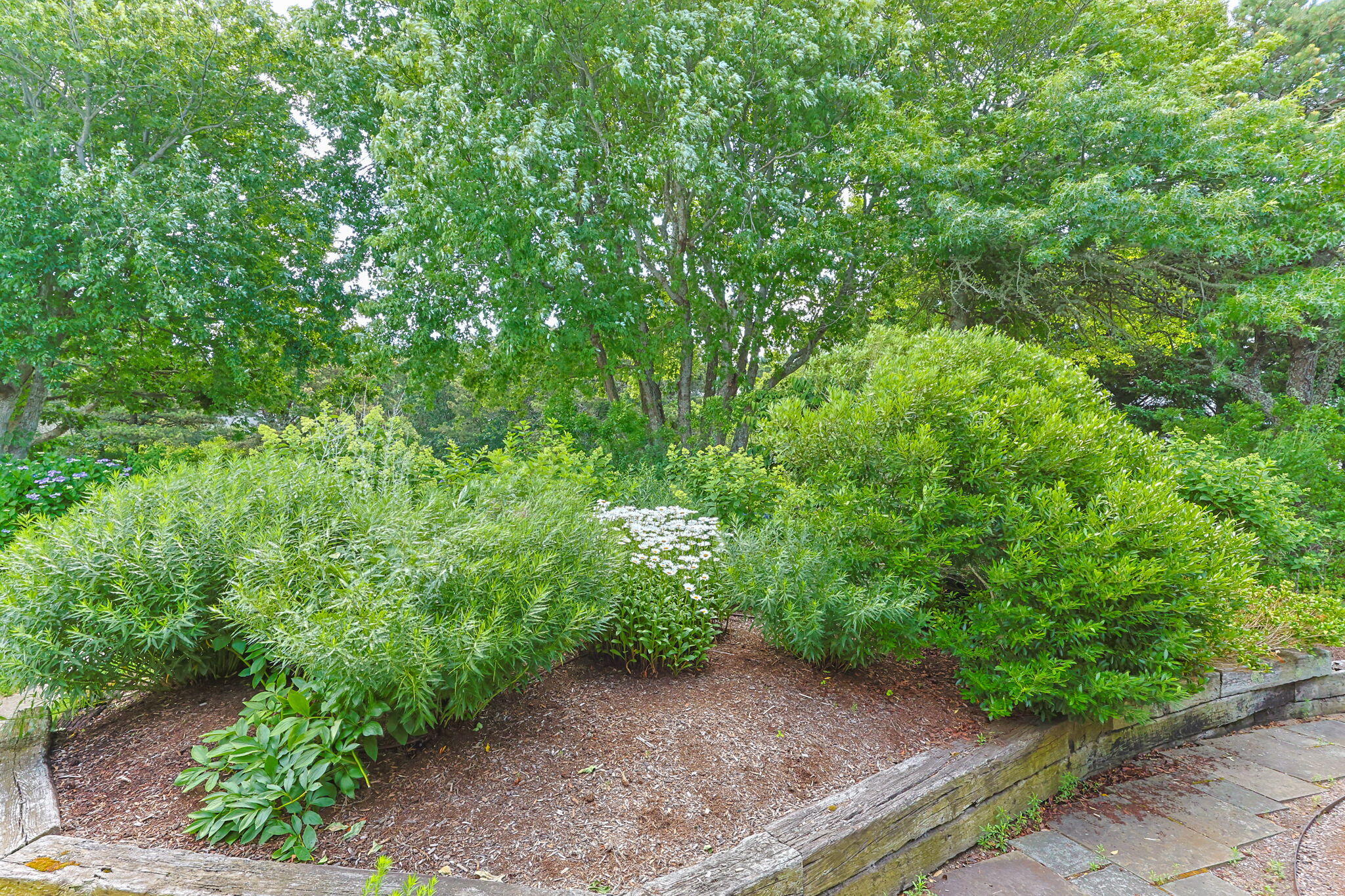 92 Indian Trail Chatham MA 02633