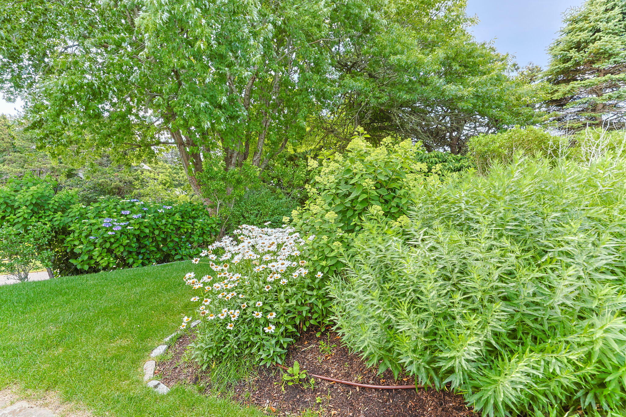 92 Indian Trail Chatham MA 02633