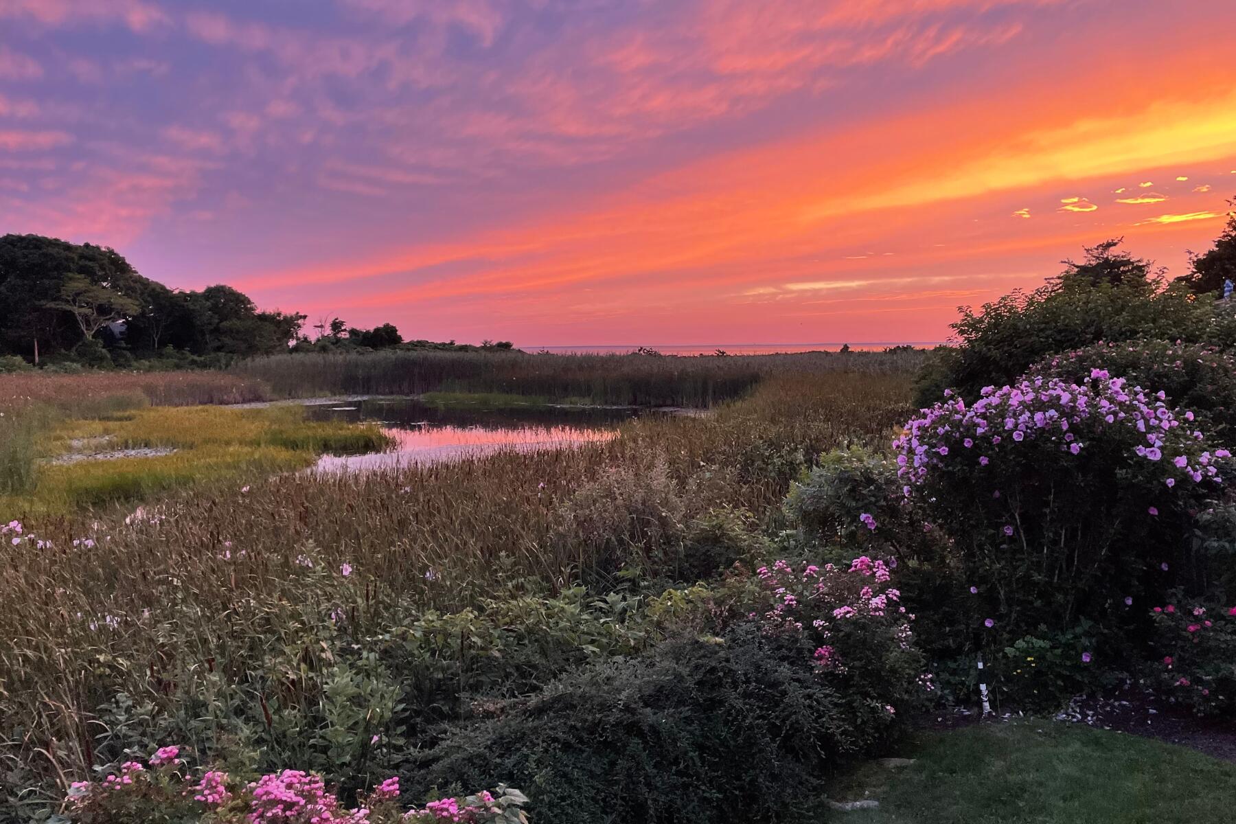 38 Nemasket Road Falmouth MA 02540