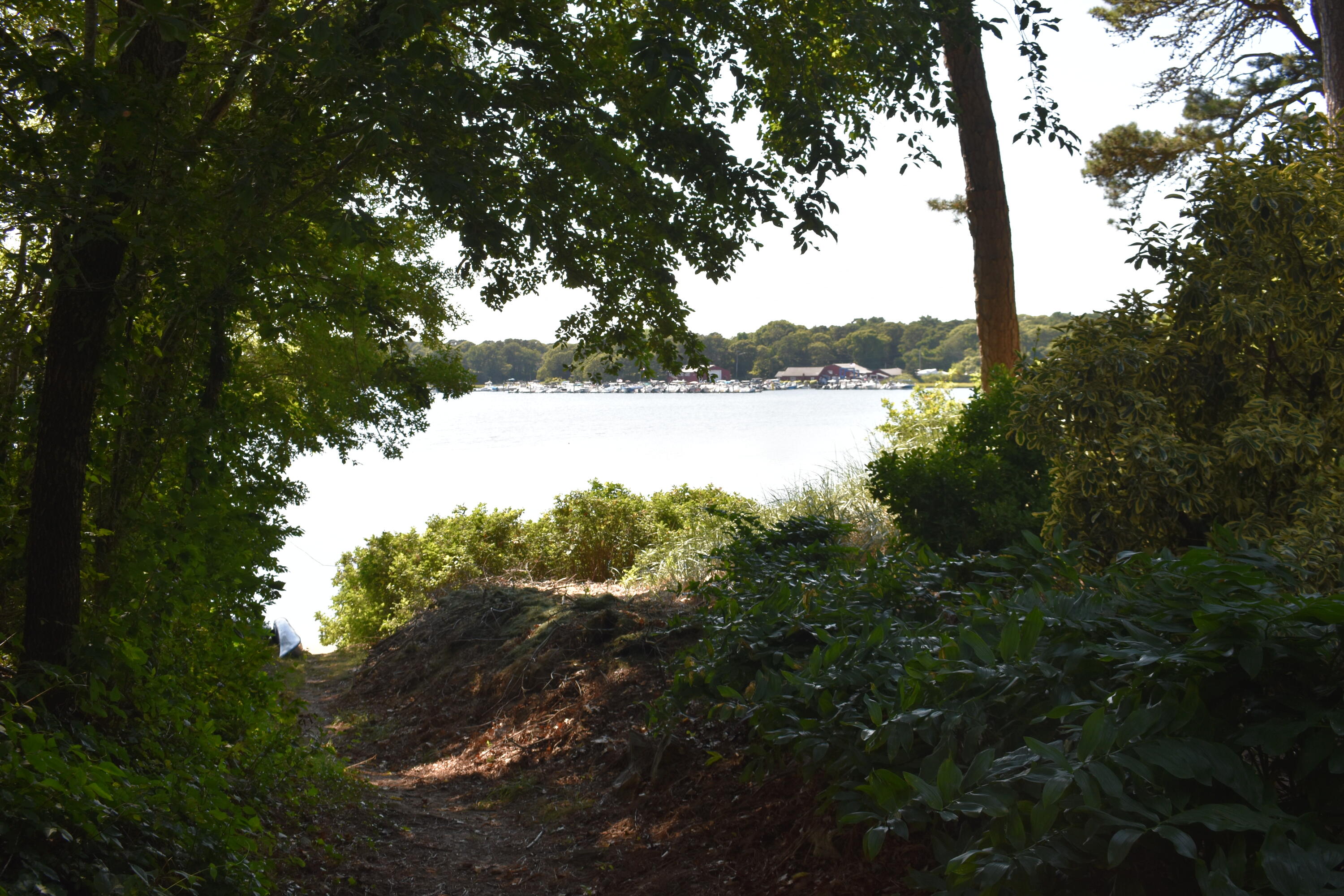 6 Hawthorn Street Dennis MA 02660