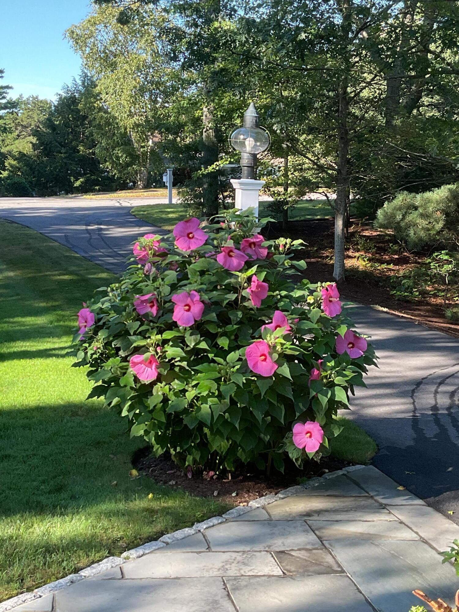 57 Cairn Ridge Road Falmouth MA 02540