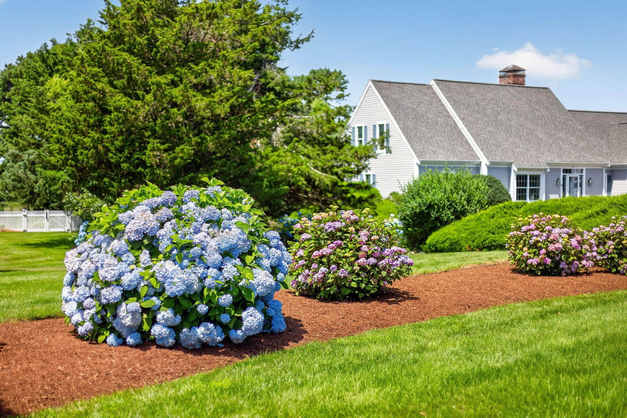 57 J H Sears Road East Dennis MA 02641