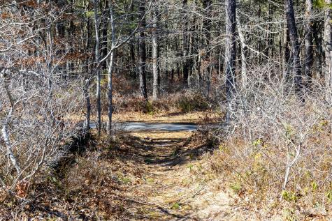 29 Lumberjack Trail Yarmouth MA 02673