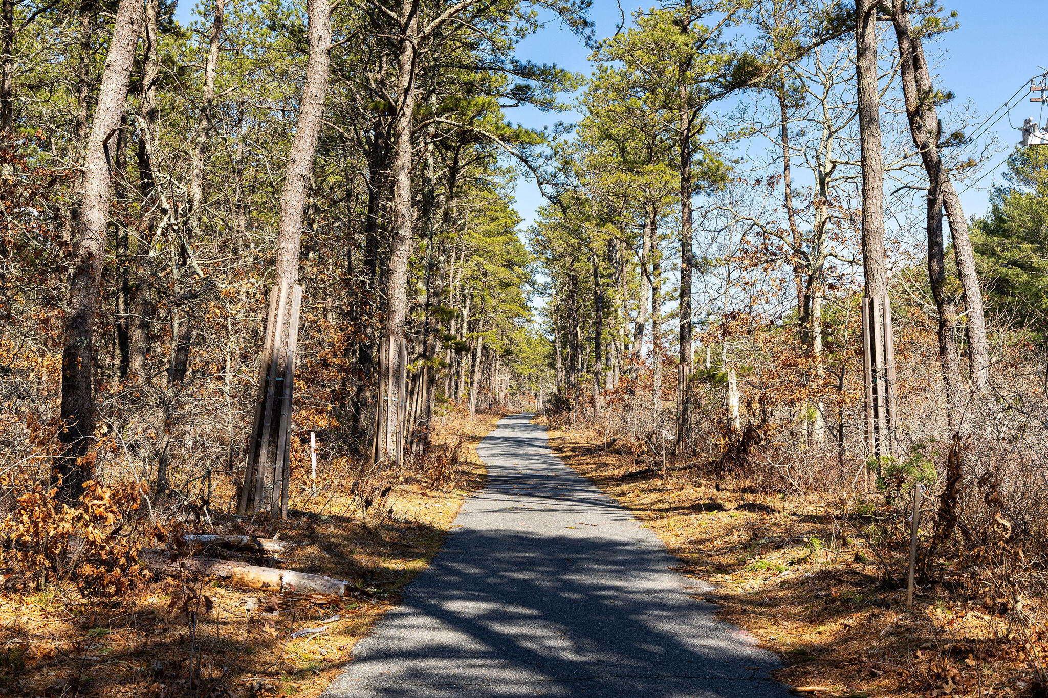 29 Lumberjack Trail Yarmouth MA 02673