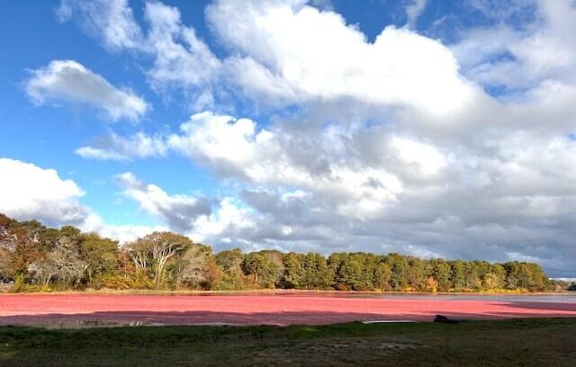 2 Candlewood Lane Yarmouth MA 02673