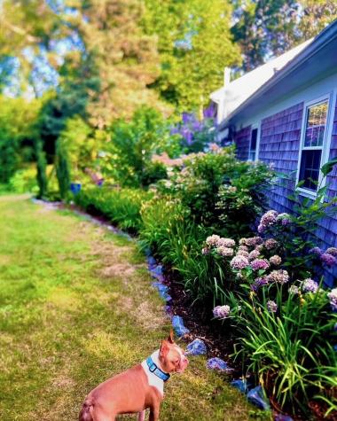 25 Frances Helen Road Yarmouth MA 02675