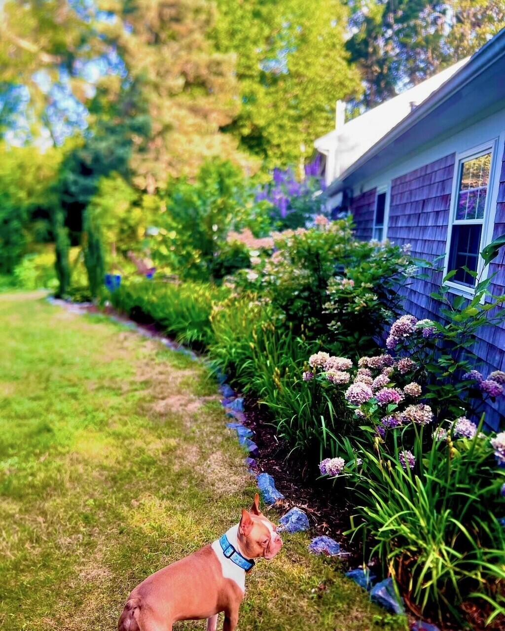 25 Frances Helen Road Yarmouth Port MA 02675