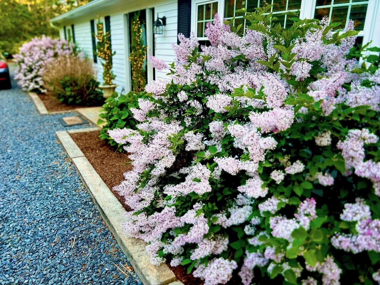 25 Frances Helen Road Yarmouth MA 02675