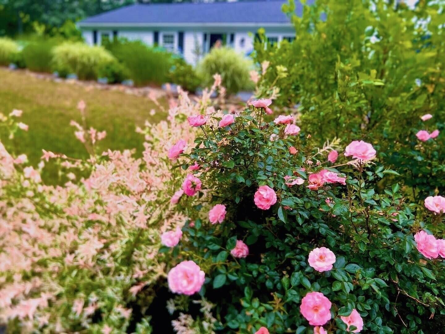 25 Frances Helen Road Yarmouth Port MA 02675