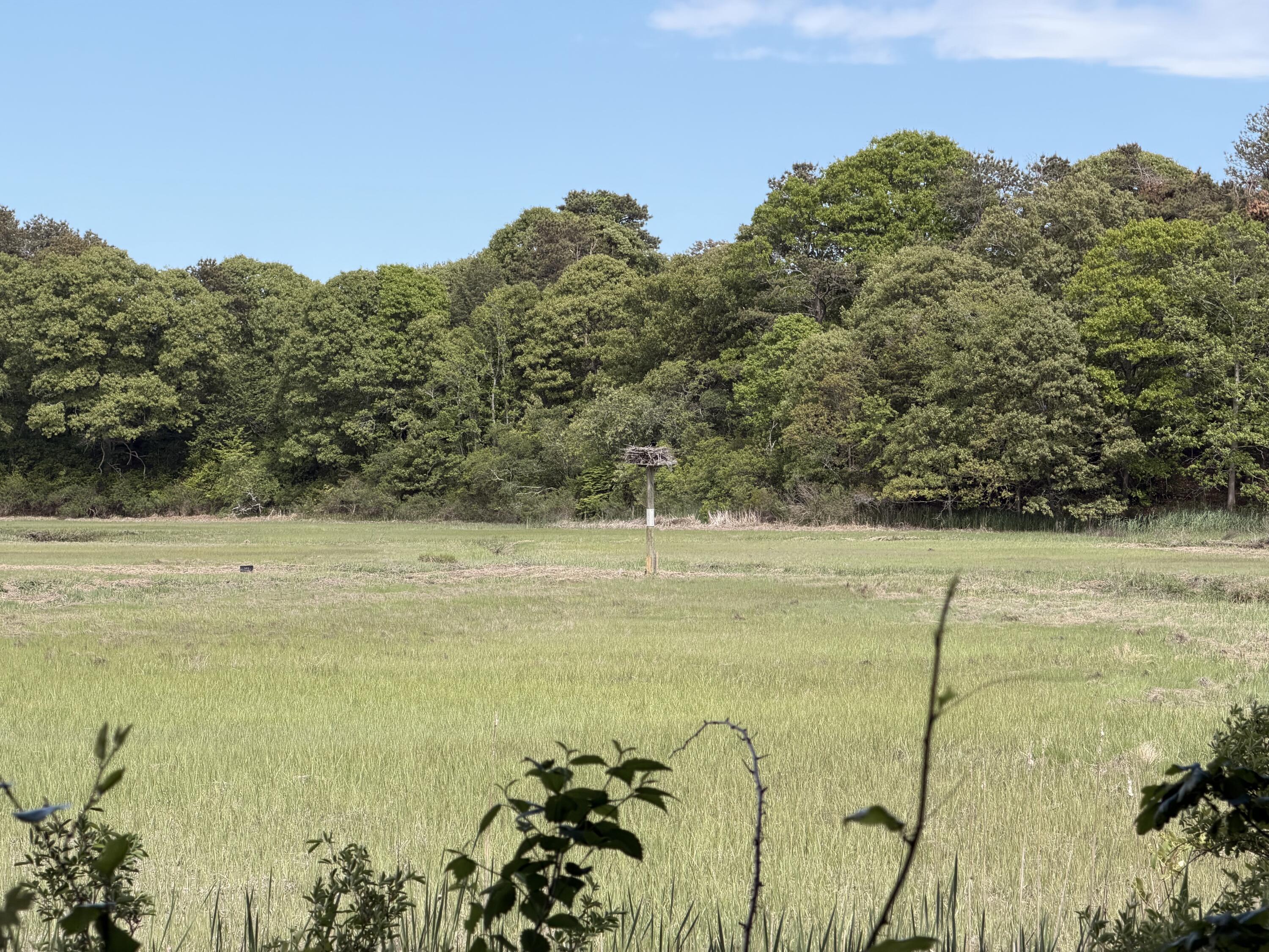 52 Ellis Circle Yarmouth MA 02675
