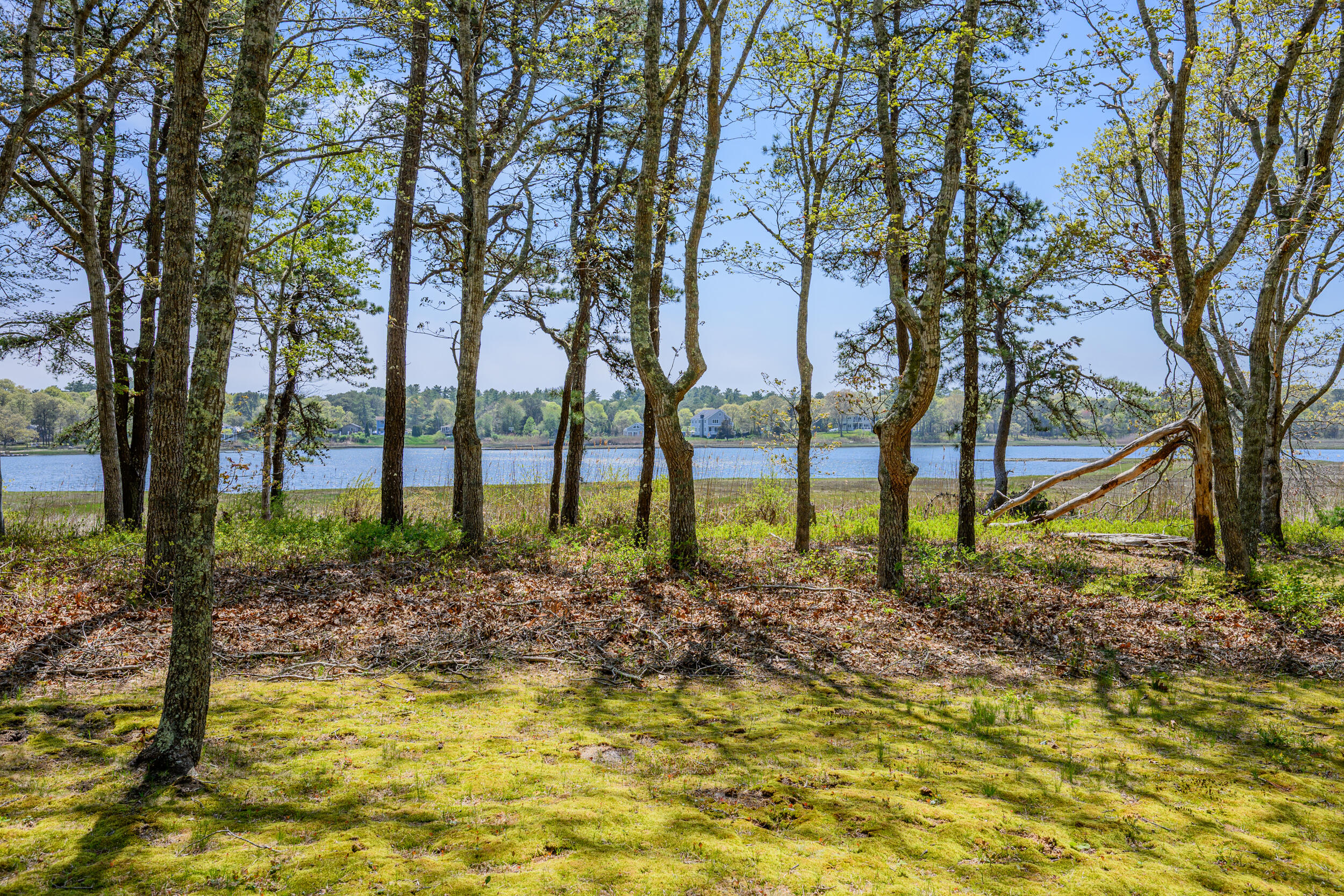 66 Squaw's Path East Wareham MA 02538