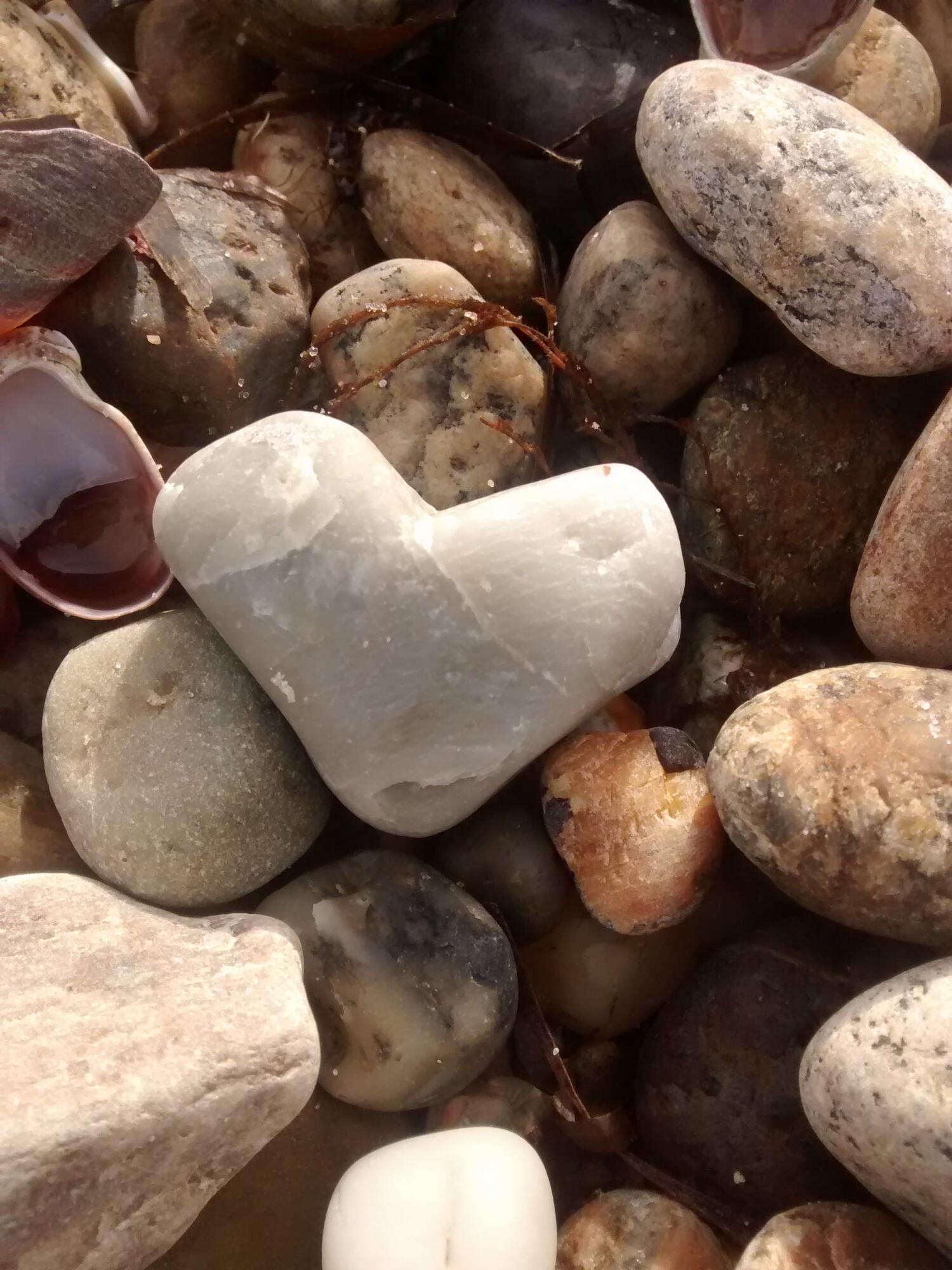 76 F R Lillie Road Falmouth MA 02540