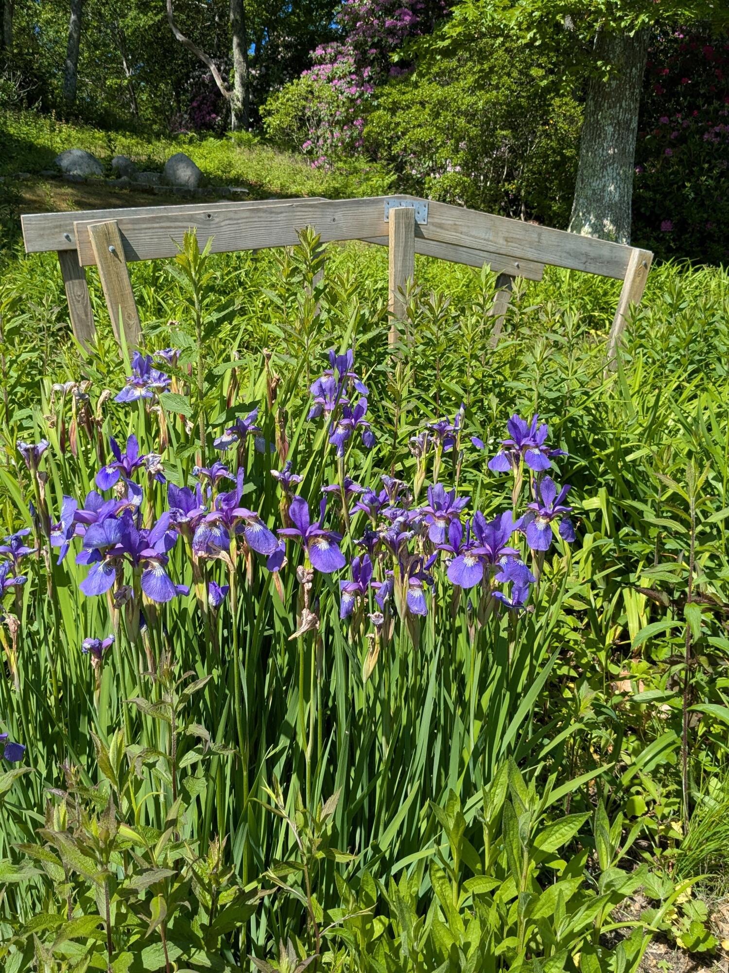 76 F R Lillie Road Falmouth MA 02540