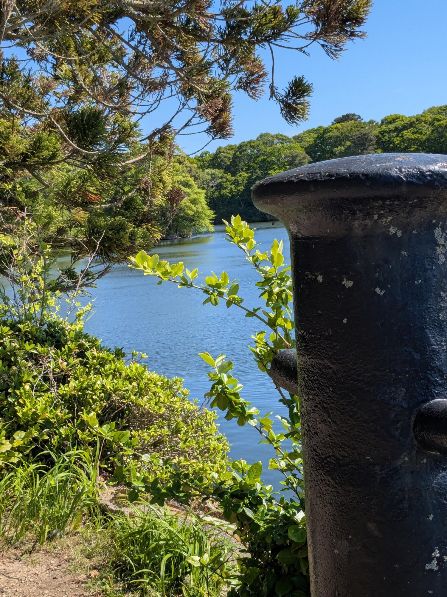 76 F R Lillie Road Falmouth MA 02540