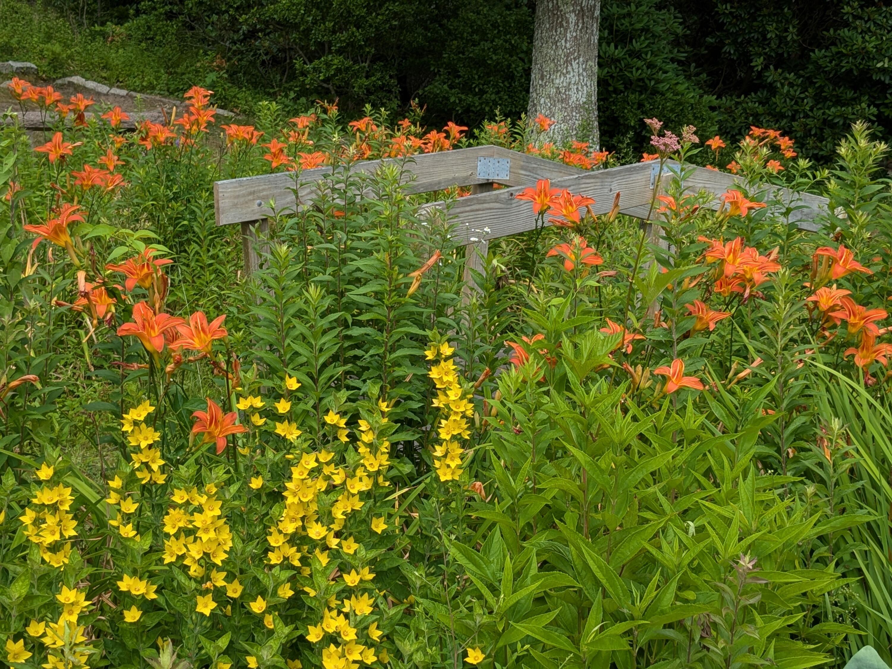 76 F R Lillie Road Falmouth MA 02540