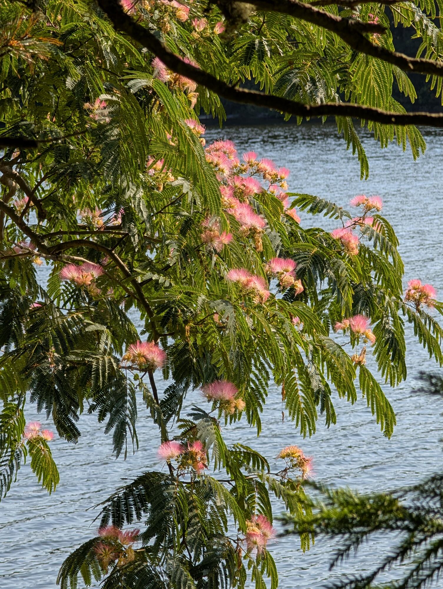 76 F R Lillie Road Falmouth MA 02540