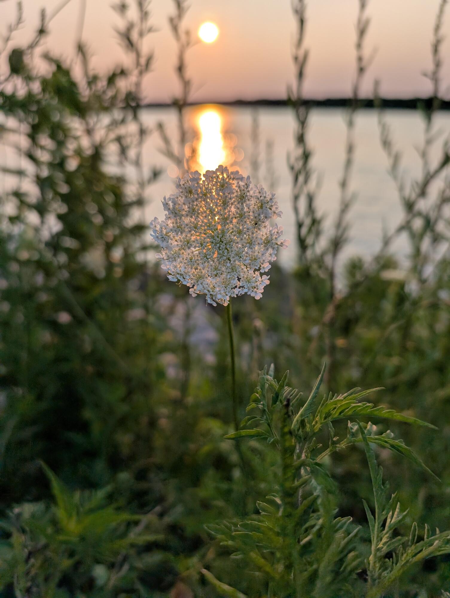 76 F R Lillie Road Falmouth MA 02540