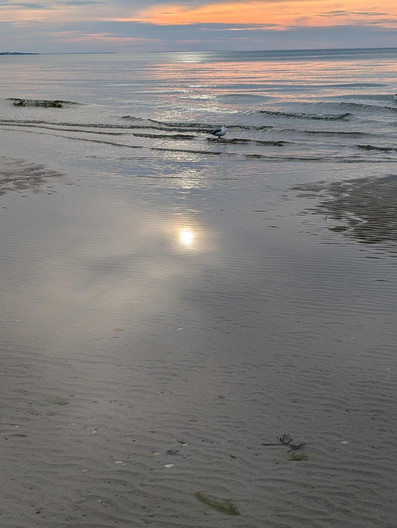 76 F R Lillie Road Falmouth MA 02540