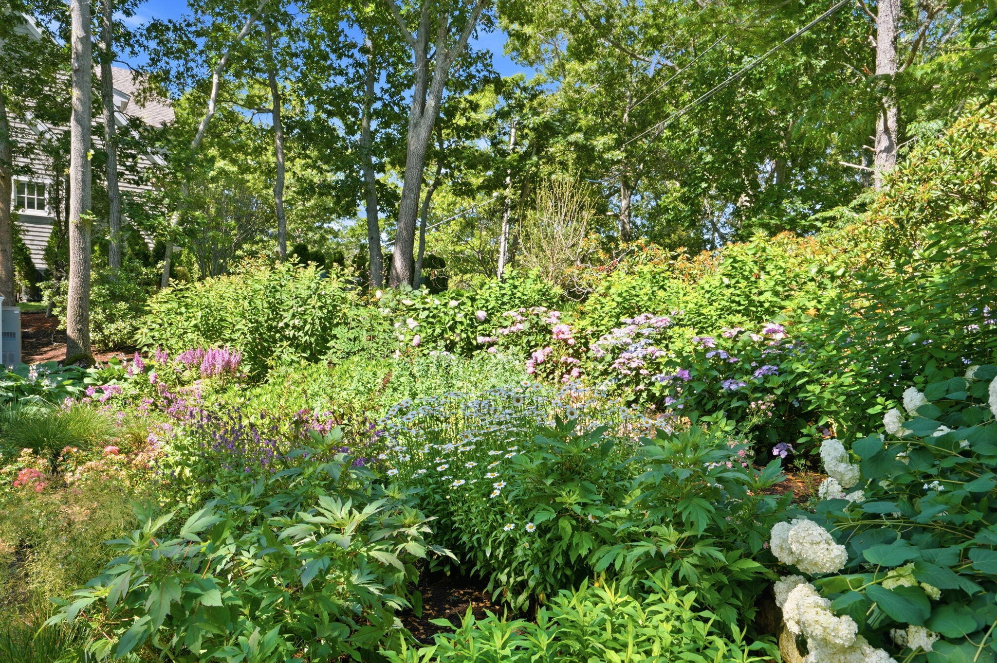 181 Daniels Island Road Mashpee MA 02649