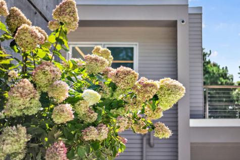 6 Huckleberry Lane Truro MA 02666