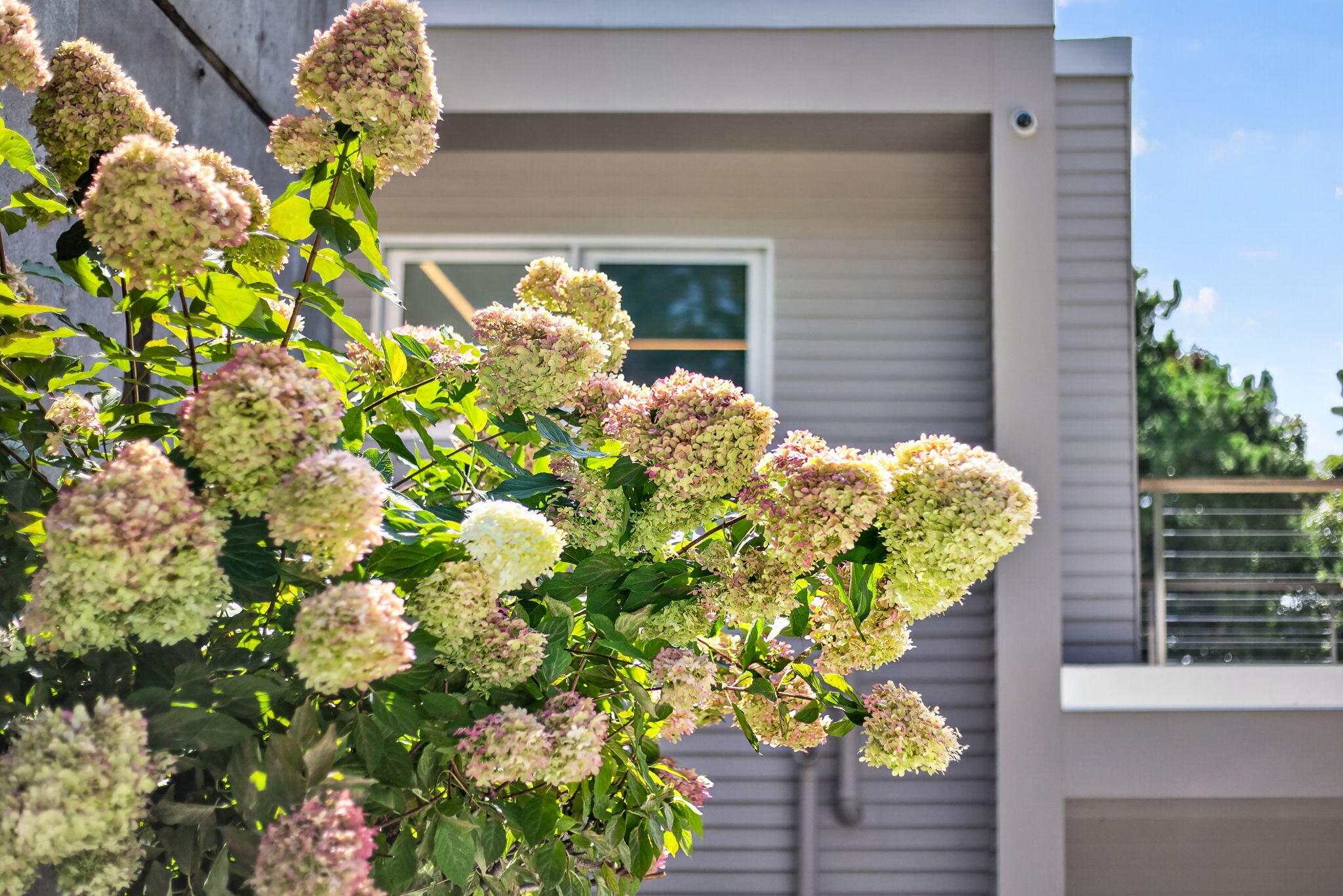 6 Huckleberry Lane Truro MA 02666