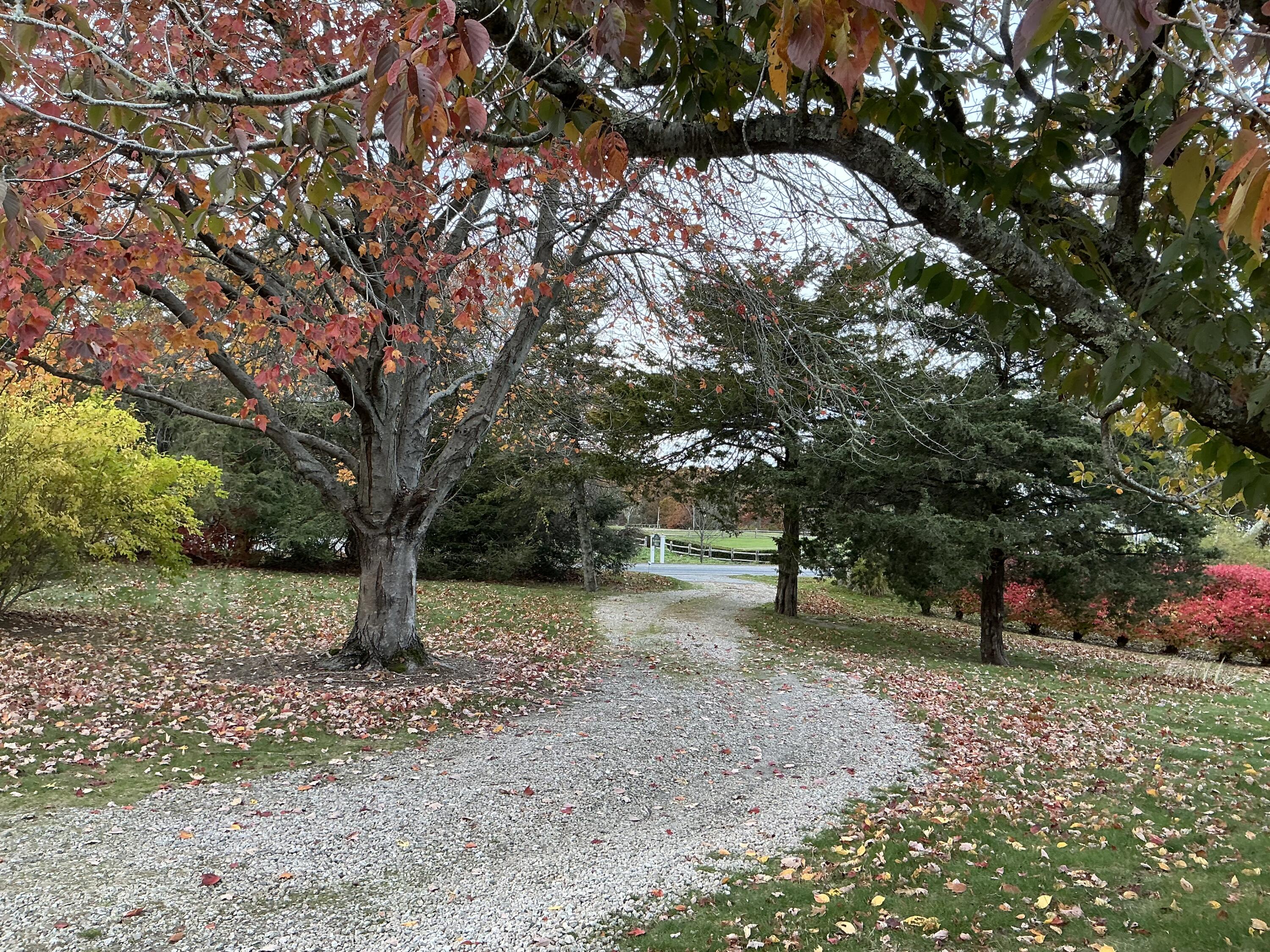 544 Cotuit (Route-149) Road Barnstable MA 02648