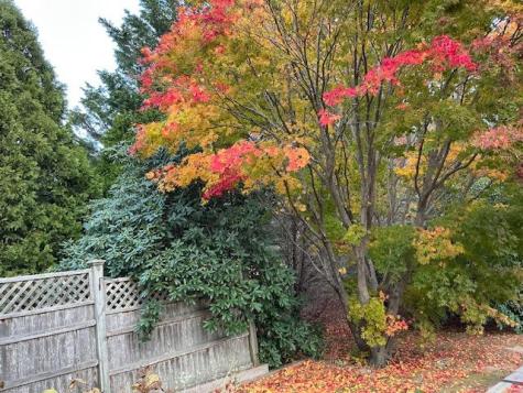 544 Cotuit (Route-149) Road Barnstable MA 02648