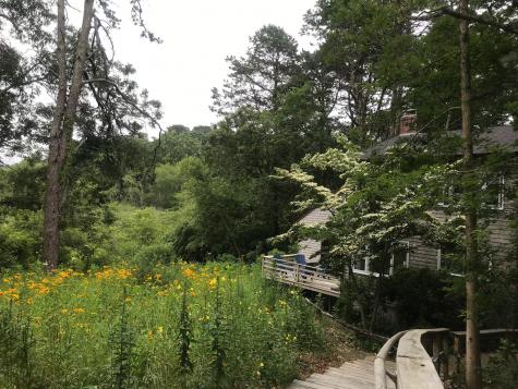 70 Erics Way Wellfleet MA 02667