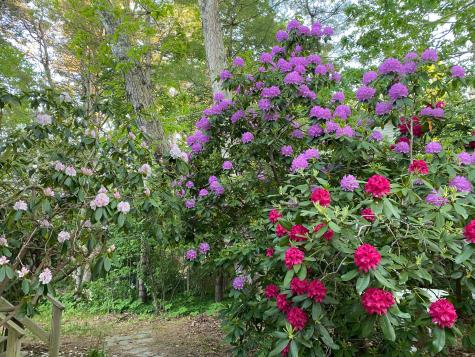 70 Erics Way Wellfleet MA 02667