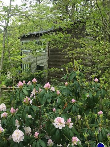 70 Erics Way Wellfleet MA 02667
