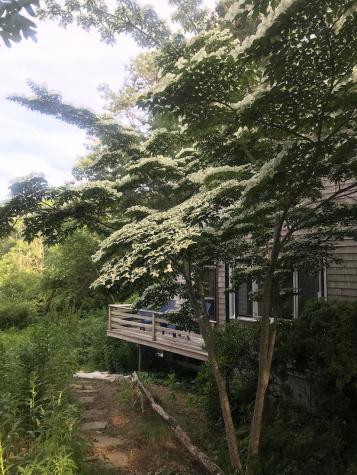 70 Erics Way Wellfleet MA 02667