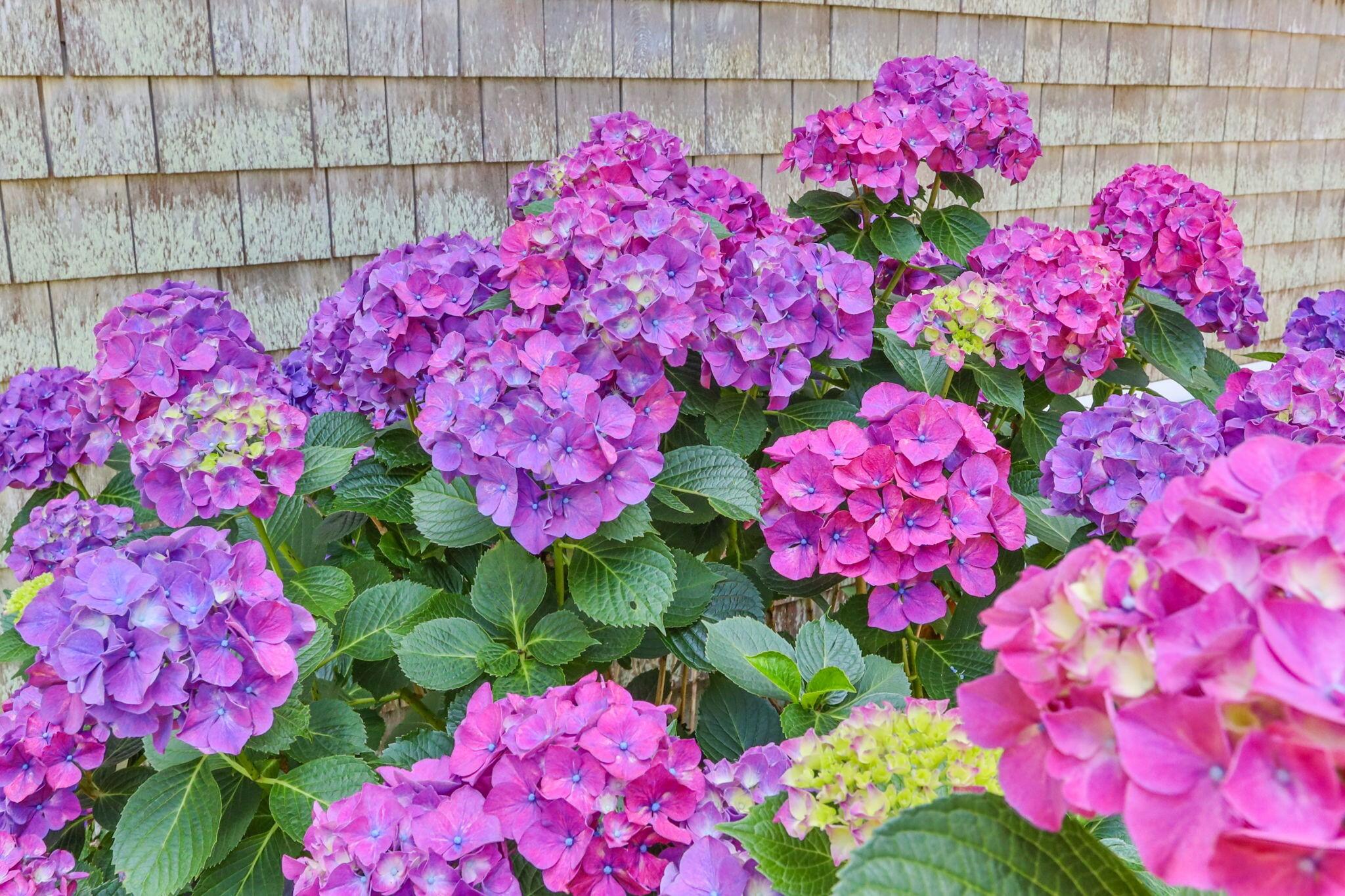 36 Waltham Circle West Yarmouth MA 02673