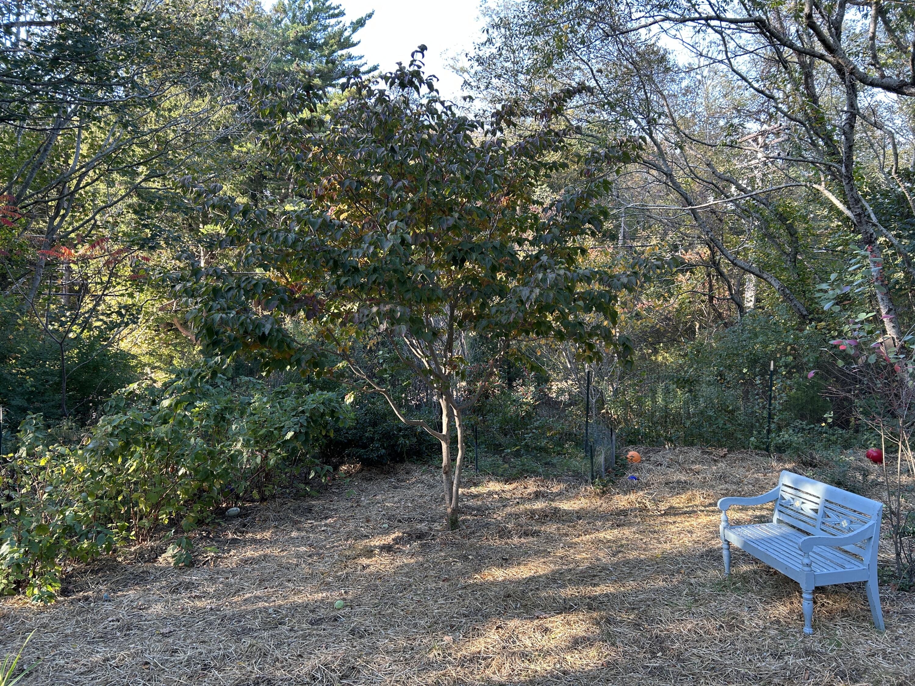 1945 Main Street West Barnstable MA 02668