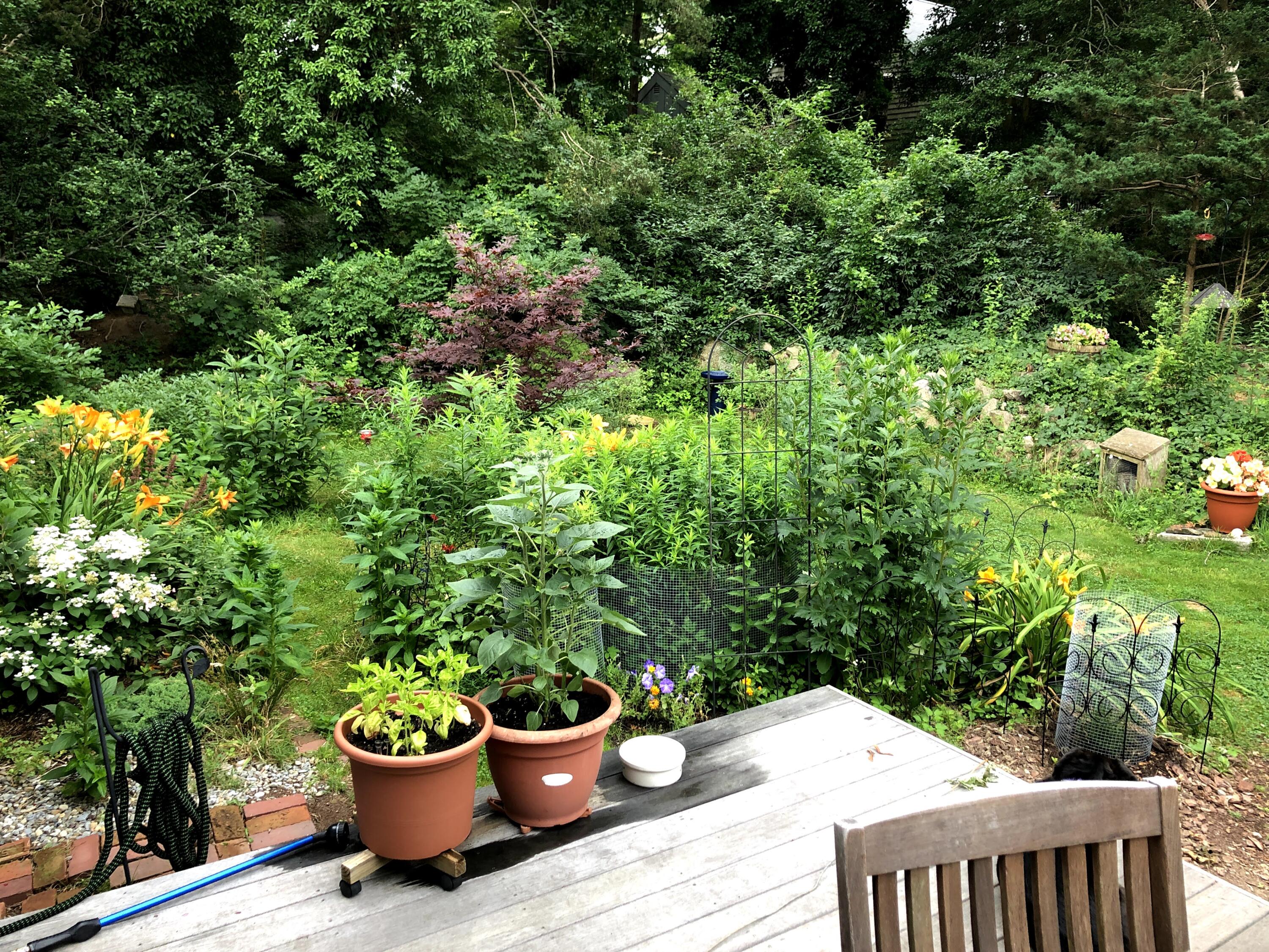 1945 Main Street West Barnstable MA 02668