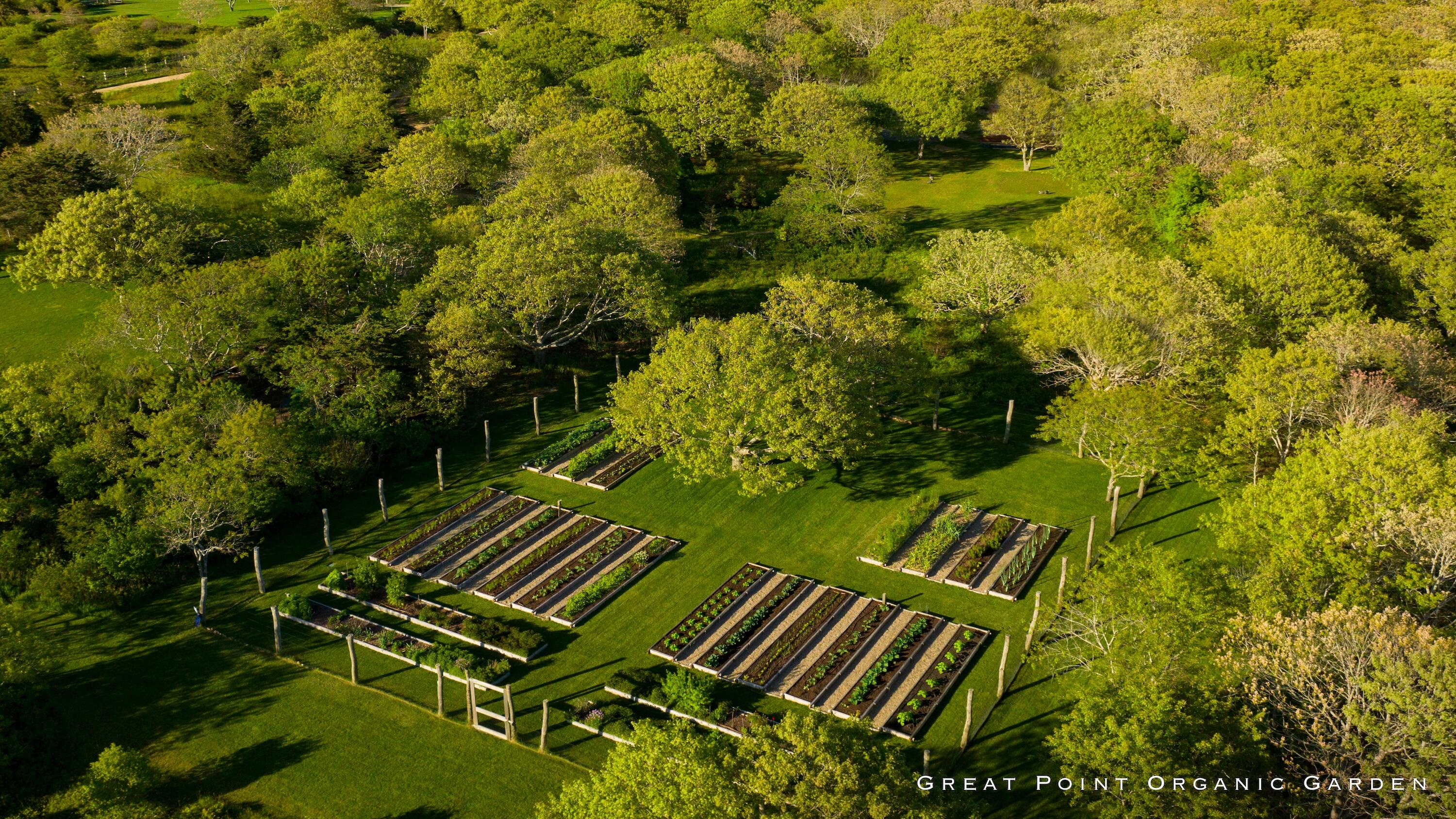 15 Forever Wild Way Edgartown MA 02539