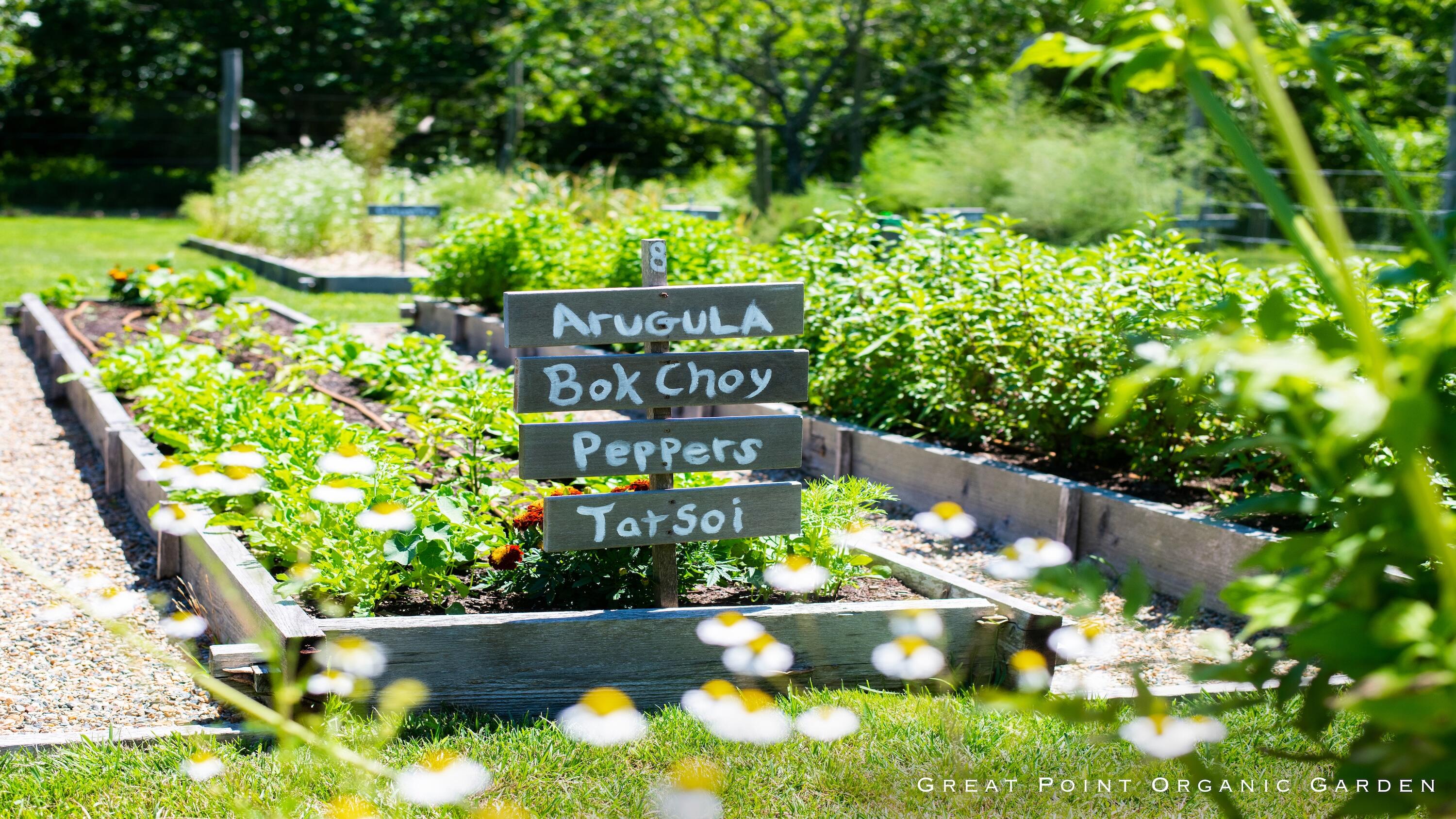15 Forever Wild Way Edgartown MA 02539