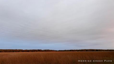 15 Forever Wild Way Edgartown MA 02539