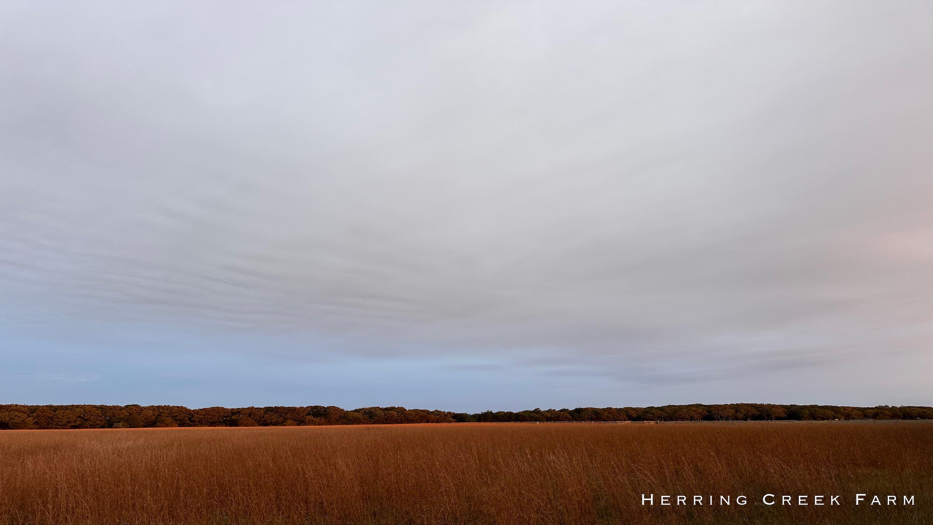 15 Forever Wild Way Edgartown MA 02539