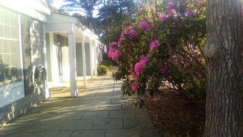 46 Chippingstone Road Chatham MA 02633