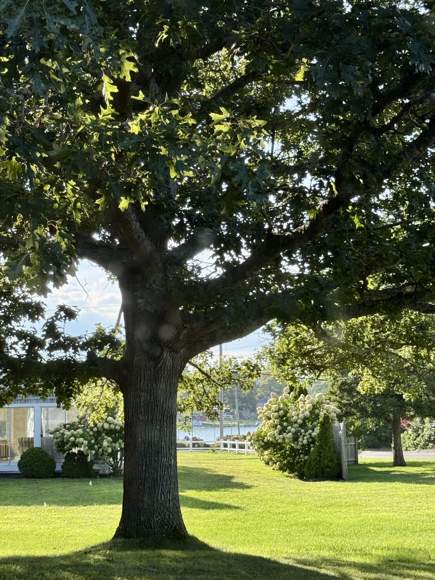 31 Ferry Street West Dennis MA 02670