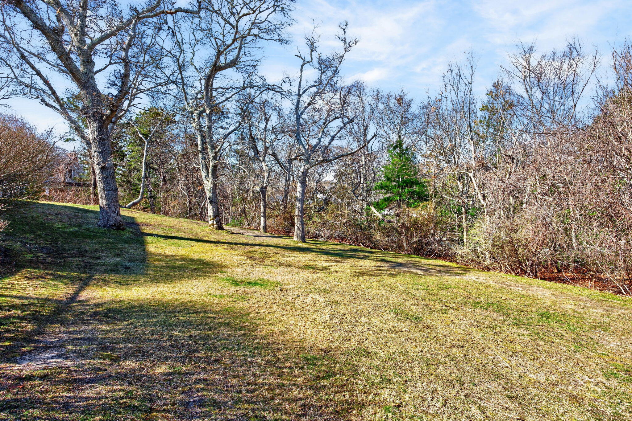 17 Barberry Lane Brewster MA 02631